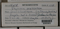Image Associated With the Occurence